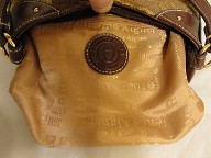 ETIENNE AIGNER Satchel Pouch Bag